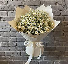 Букет цветов из:  Ромашки #REPLACE_PRED# Кесову Гору