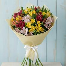 Букет цветов из:  Альстромерии в Кесову Гору