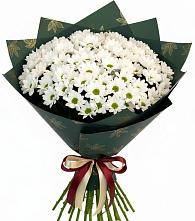 Букет цветов из:  Хризантемы #REPLACE_PRED# Кесову Гору