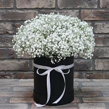 Цветочная композиция из Гипсофила в шляпной коробке в Кесову Гору