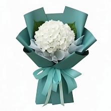 Букет цветов из:  Гортензия в Кесову Гору